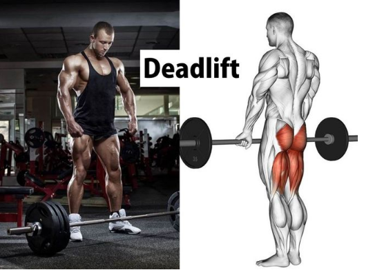 ：臀部、大腿肌力的杀手级训练「硬拉」助你跑步破PB