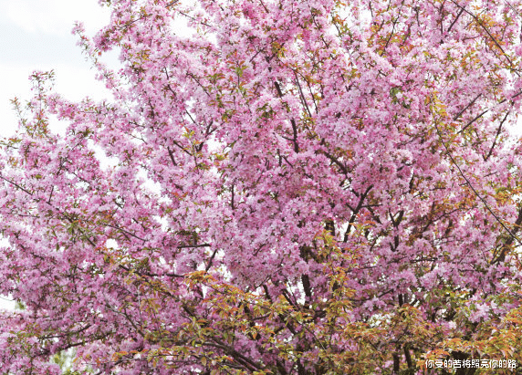 |8月底贵人相助，财运亨通，4属相日子红红火火，大吉大利