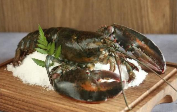 |145岁的龙虾长啥样?如果不放生的话,会一直活下去