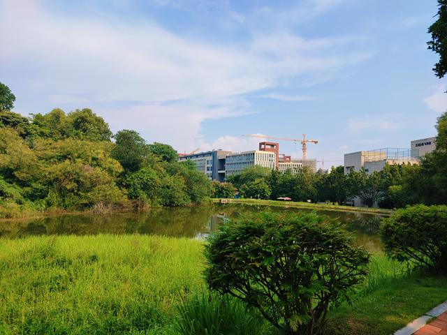 华为mate|国货之光有哪些？国产口碑神机大盘点来了