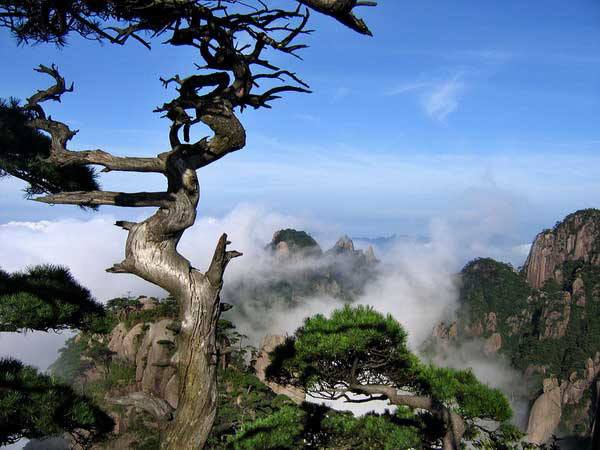 #三清山#难忘假期，直去江南美丽的三清山，犹如人间仙境