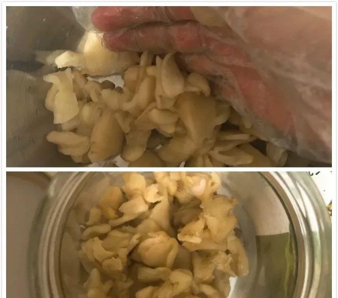 『养生』夏季养生的头等事!用72天把一年的寒气赶跑