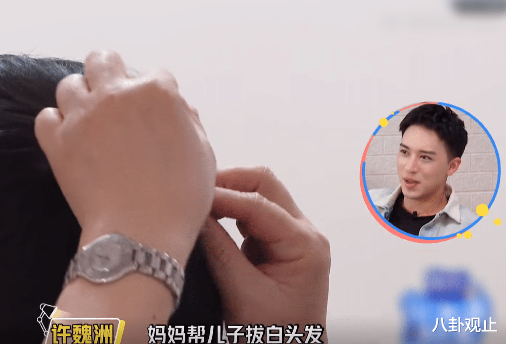 李晨|李妈妈说出心愿后，郑爽好奇问有可能吗？李晨：我答应她了