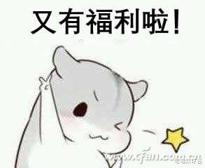 酷睿处理器|十代酷睿也降价 最值得入手的还是这两个