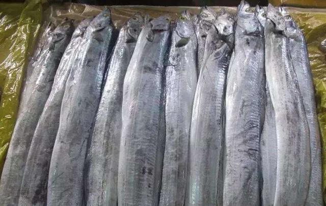 带鱼|买带鱼时，遇到这3种掉头就走，海鲜贩：我从不让家里人吃！