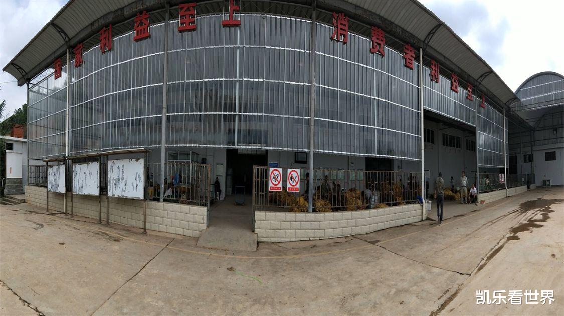 |网友评出的最强“铁饭碗”职业，工资万元以上，比公务员还好