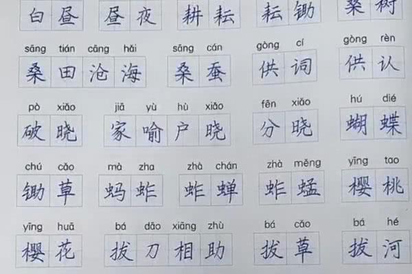 ##家长晒出五年级学霸日常作业，字迹如“印刷体”，网友：最靓的仔