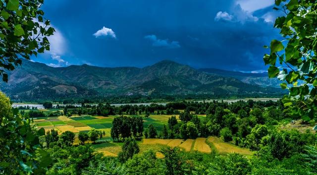 运势|8月底，财运挡不住，贵人大力支持，3生肖努力有回报，咸鱼也翻身