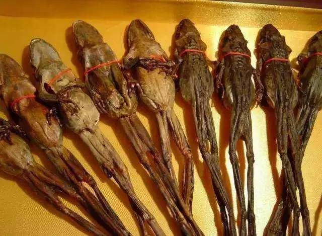 「食材」6种中国“顶级食材”，看似不起眼按克卖，普通人望尘莫及