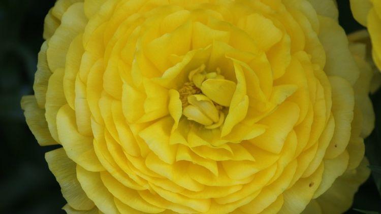 运势|10月被财运相中，将有望发大财，运势也相对于好起来的4大星座