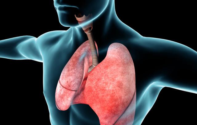 「长寿」身体4处很“干净”,恭喜您,说明人体还年轻,容易获得长寿