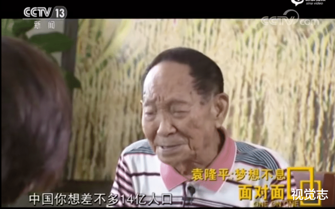 视觉志|台风带来可怕昆虫侵袭：一个袁隆平，帮不了14亿人