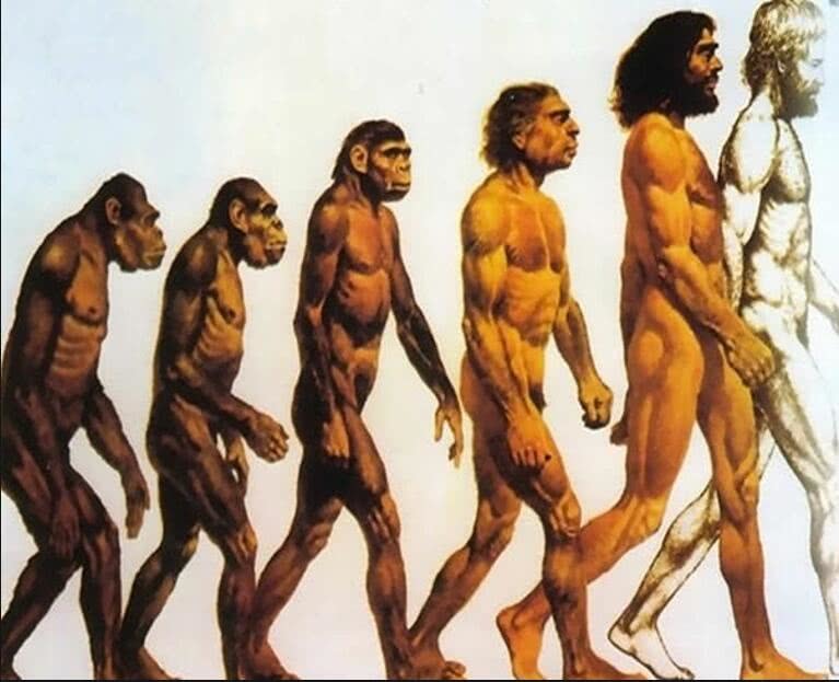 「外星人」一亿年后的人类可能长什么样？将有5种可能，网友：外星人？