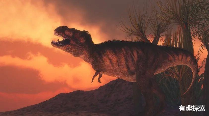 高地|绝迹93年两栖大鼠回来，灭绝47年唱歌犬现身，违背自然规则？