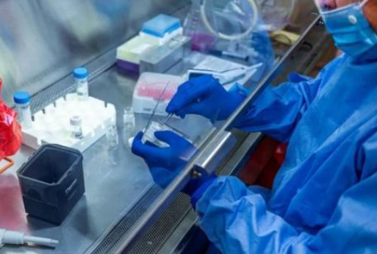 「」新冠病毒“弱点”找到了!全球注意力看向同一处,终于看到了希望