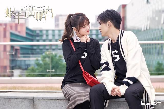 杨洁|目前收视率“吓人”四部剧：《局中人》第二，第一收视高达2.58%