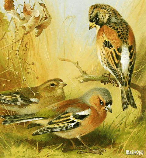 |哪些日子出生的人，智商高，善于把握机遇，靠自己奋斗改变人生