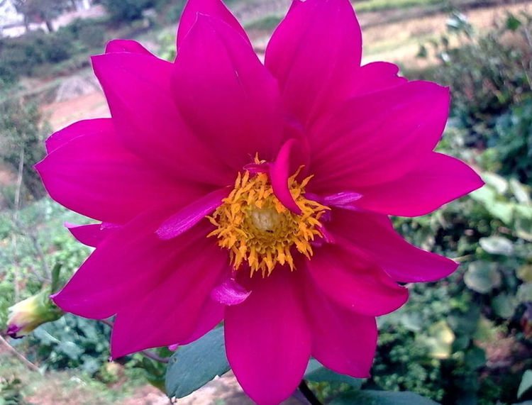 生肖|第一眼不是特别漂亮，但是越看越迷人，非常耐看的三大生肖女