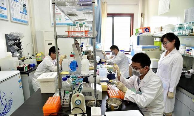 华为|荷兰人心里苦：华为和中科院这样做，置我们于何地？