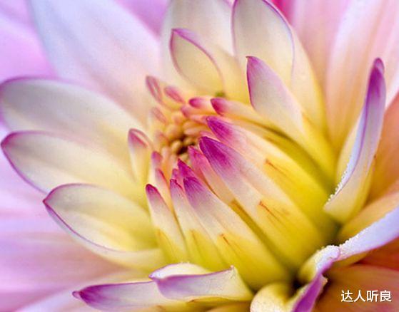 属鸡|未来三个月,4属相财运事业双如意,喜庆盈门,生活节节攀升