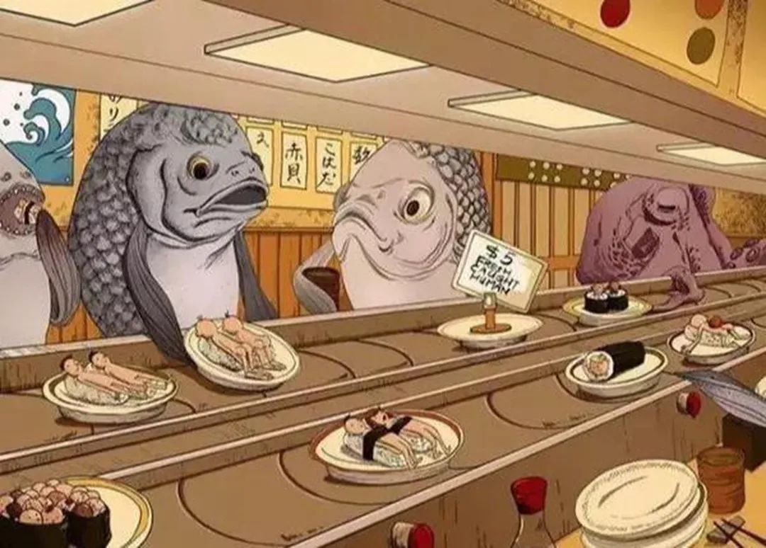 鲨鱼|9幅发人深省的漫画，当我们看完之后，会更加懂得保护动物