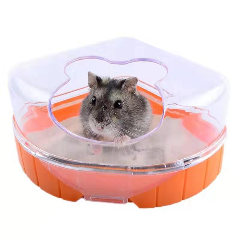 仓鼠这么可爱，我们就养它吧，oh yes