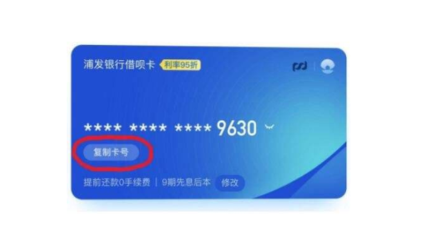 「支付宝」支付宝发力了,新推借呗卡不用提现直接消费,3分钟教你如何开通