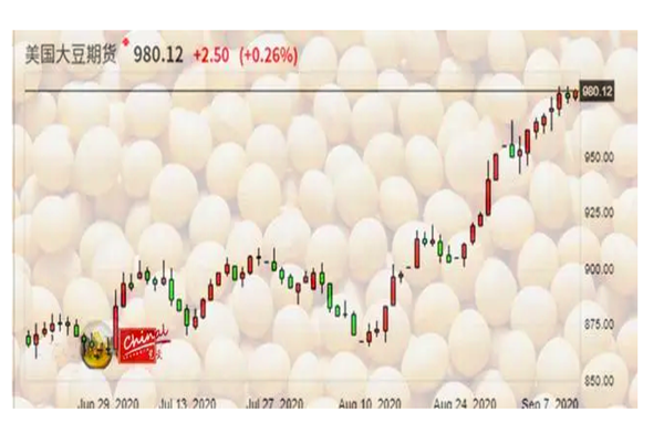 美国大豆|两国关系预演越烈，却大量进口美国大豆，背后玩什么“把戏”？