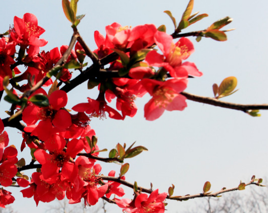 属兔|步入12月,4属相喜迎人生上上签,兴家业发大财,开开心心