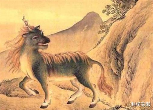 |麒麟真的存在吗？当初那张黑白的麒麟照片到底是怎么来的？