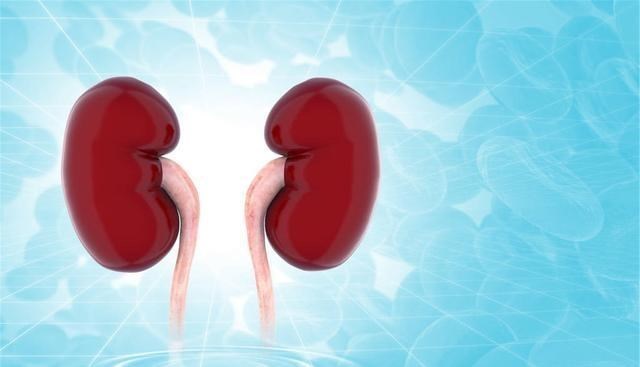 排毒|男性早上起床后，若无三种异象，说明“肾气十足”，真值得庆幸