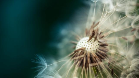 巨蟹座@5月，不再执念过往，一切顺其自然，敞开心扉向未来走去的星座