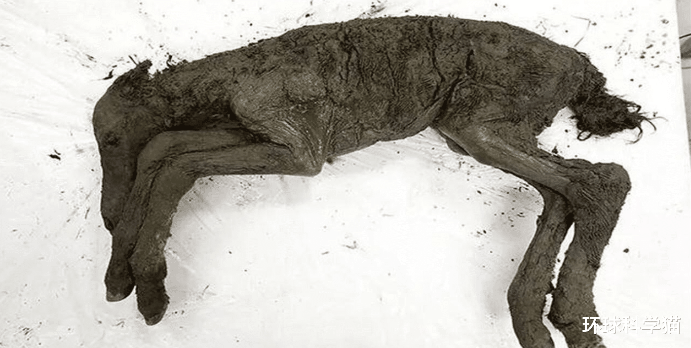 珠峰|珠峰最低可达-50度！人死了也不会腐烂，为何如今让人很担心？