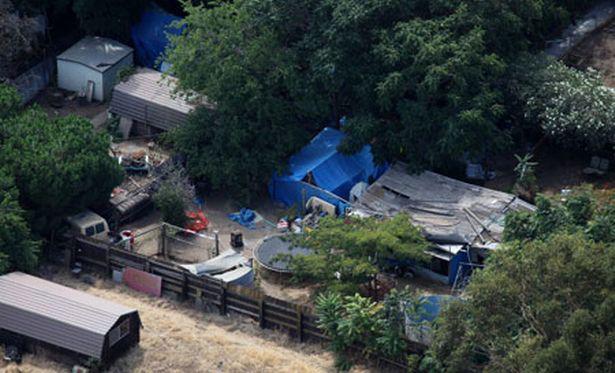 睹图|女孩被一对夫妻绑架18年生下2个孩子，得救后获赔1, 37亿