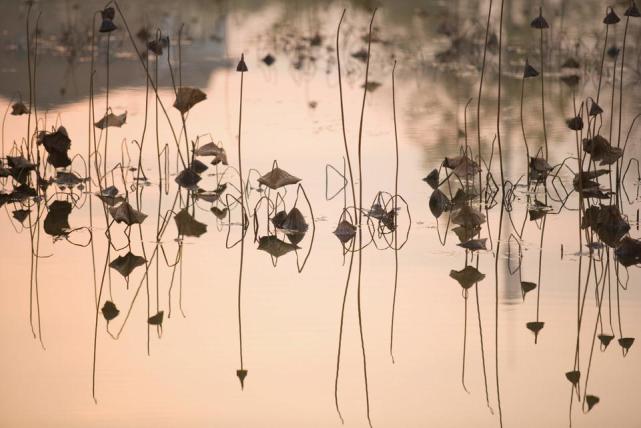 属马|未来几个月运势一路飘红的3个生肖,烦恼消失,富贵盈门,日子美好