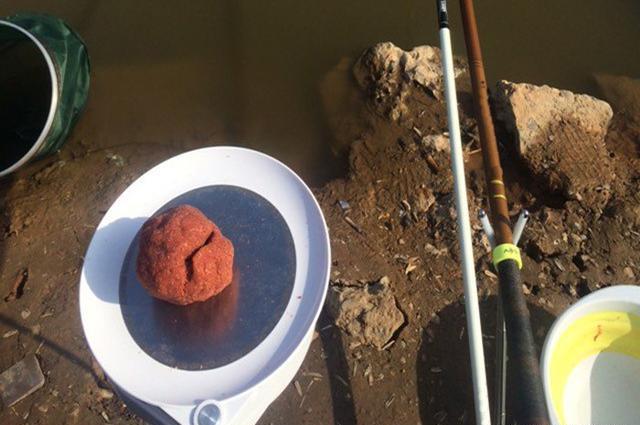 鲫鱼|深秋钓鲫鱼，认准这些地方，一准不走空，皇禾钓具