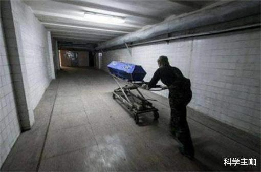 科学家|为什么“尸体”会让人产生恐惧感？来看看科学家们给出的答案！