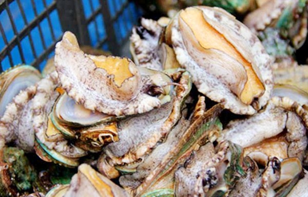 「水果」盘点那些你以为很贵，实际很便宜的食材，别再被电视剧误导了