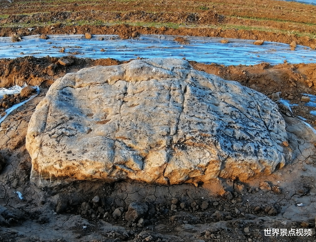 世界景点视频 我国最矮的山，最高处距地面0.6米，当地人还以为是一块石头