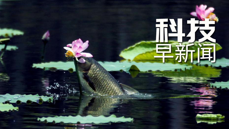 【大象】我国成功发射高分多模卫星；贵州山中怪声初步认定为鸟叫丨科技早新闻