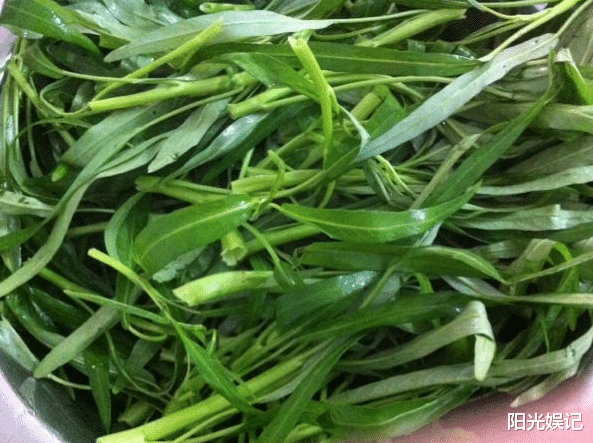 空心菜|它是碱性蔬菜,1斤2元,蛋白质多番茄5倍,钙多12倍,清爽不油腻
