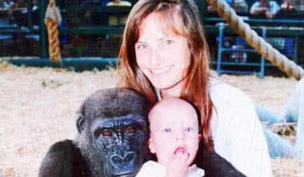 『科学家』女科学家亲自上阵，验证人类和大猩猩能否结合，结果无人敢信！