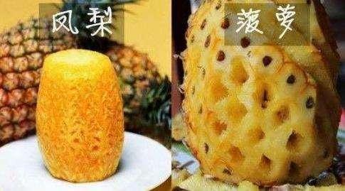 水果|美食界5对双胞胎，虽然长得像，待遇却“一个是平民一个是贵族”