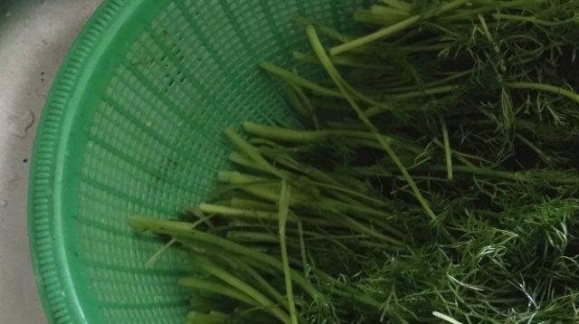 #妇科炎症#“天然消炎药”，女性没事敞开吃，妇科炎症也许“绕道走”