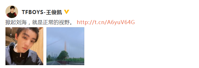 别墅|王俊凯绿洲营业分享自拍 刘海被掀起颜值依旧在线