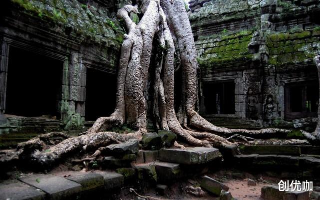 天蝎座|10月，思念成疾，将不再闷骚，勇敢表白，牵手爱情的3个星座