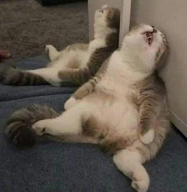 姐姐|“为什么18岁的小伙子都喜欢30岁的阿姨？”网友神评真相了，哈哈哈哈！