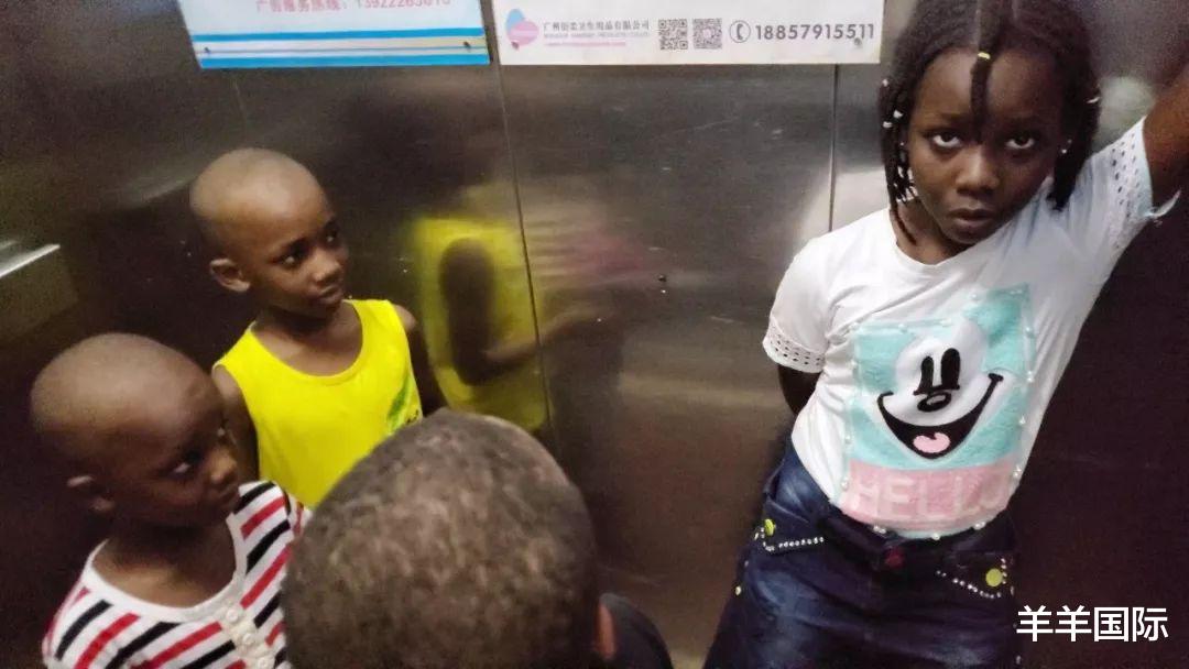 法国|加州毁了！高票通过向黑人赔款法，大批华人疯狂逃离！