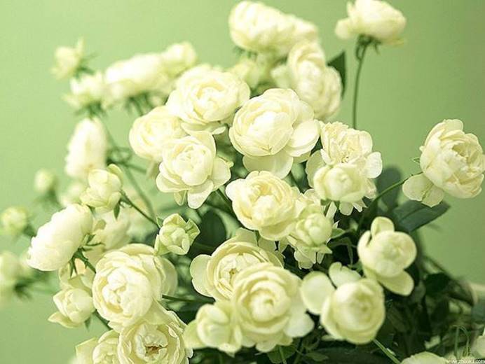 生肖|8月,财神到家!横财如雨,财运发发发的3生肖