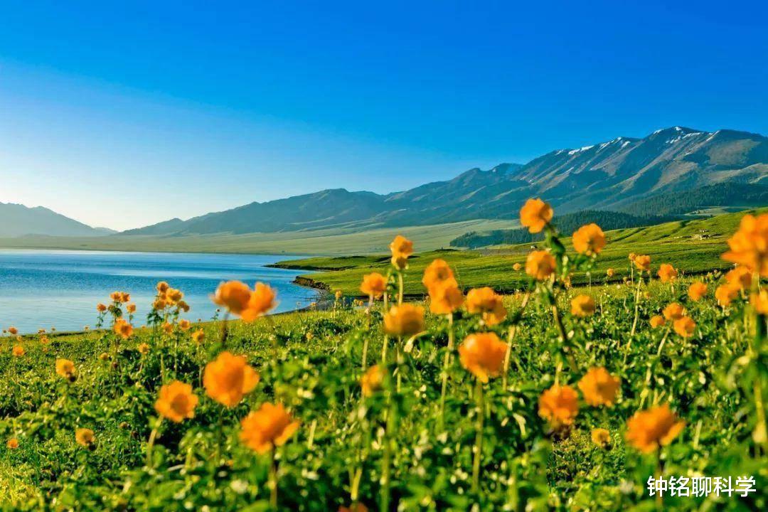 核聚变|136亿亿吨的水浇到太阳上，太阳会怎样？